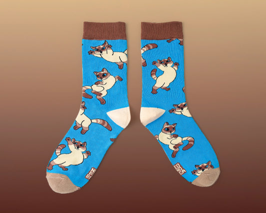 Bouncy Siamese | Socks